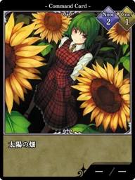 太陽の畑