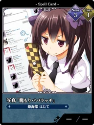 写真「籠もりパパラッチ」