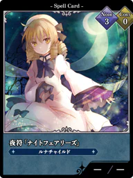 夜符「ナイトフェアリーズ」